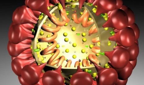 Koronavírus - Hrozí nám nová svetová pandémia?