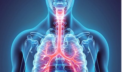 17. November svetový deň chronickej obštrukčnej choroby pľúc