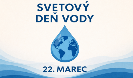 Svetový deň vody